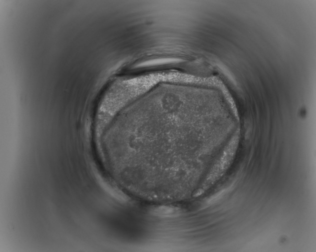 X0000100390542200807031952