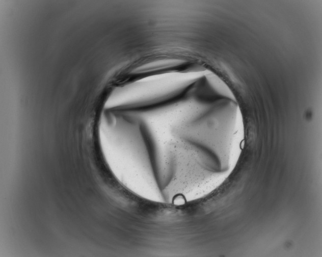 X0000100390543200807031952