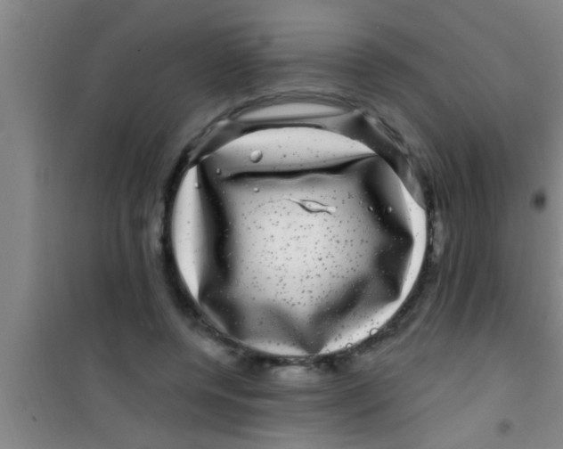 X0000100390544200807031952