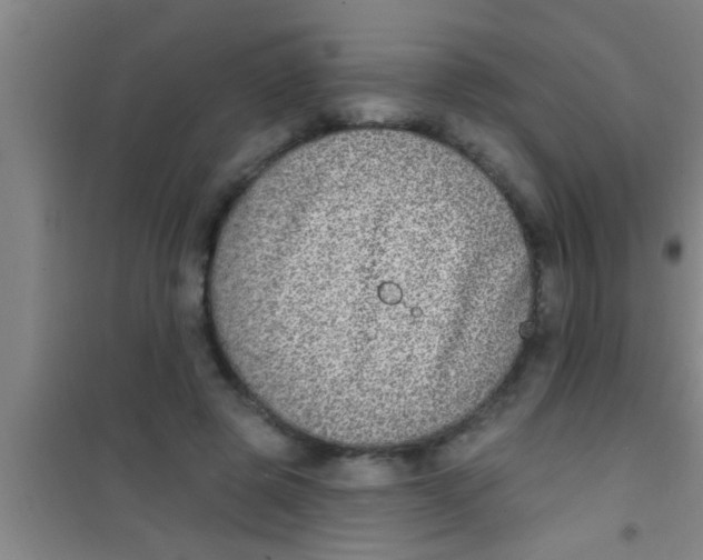 X0000100390545200807031952