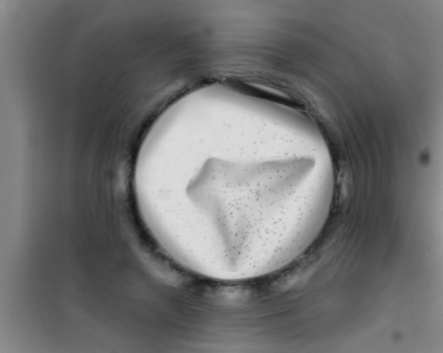 X0000100390546200807031952