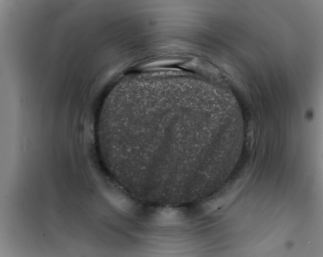 X0000100390547200807031952