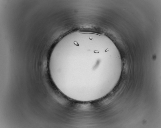 X0000100390548200807031952