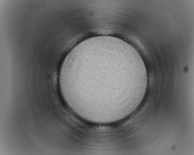 X0000100390549200807031952