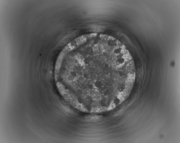 X0000100390553200807031952