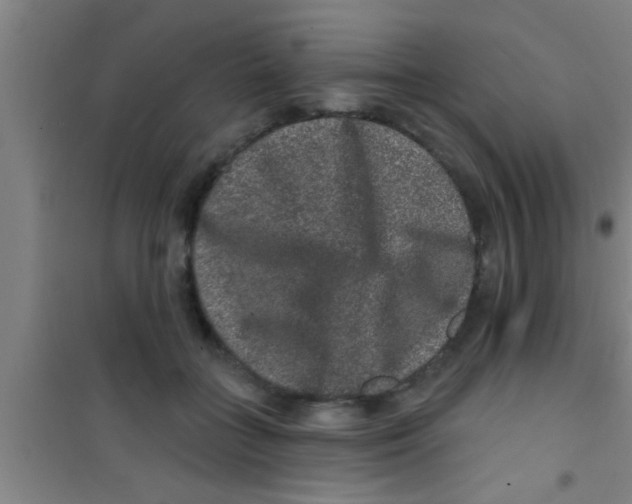 X0000100390555200807031952