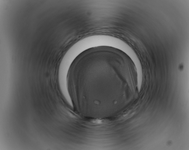 X0000100390558200807031952