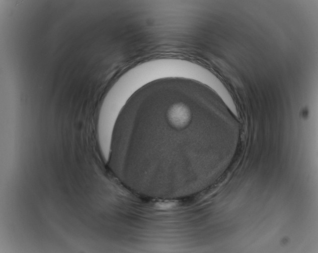 X0000100390560200807031952