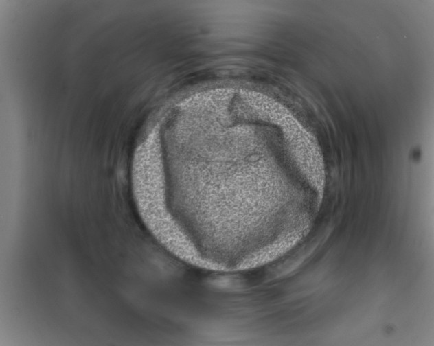 X0000100390561200807031952