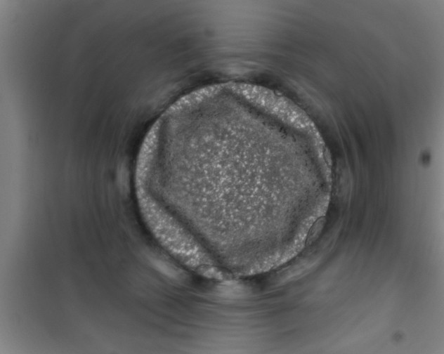 X0000100390562200807031952