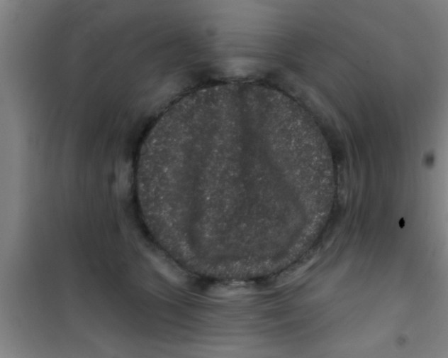 X0000100390563200807031952