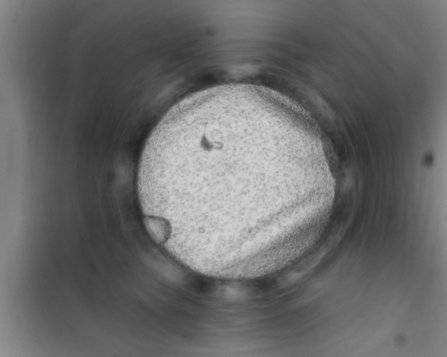 X0000100390565200807031952