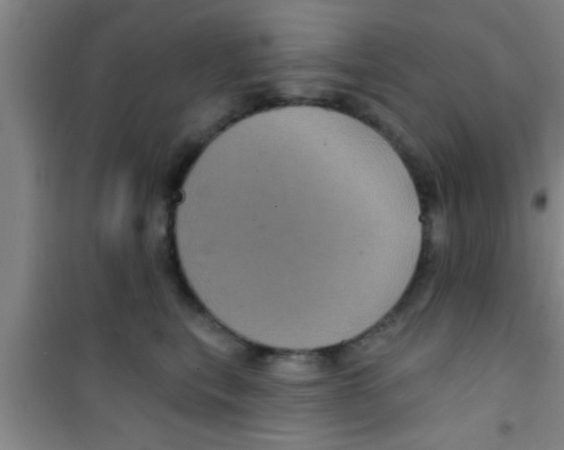 X0000100390567200807031952