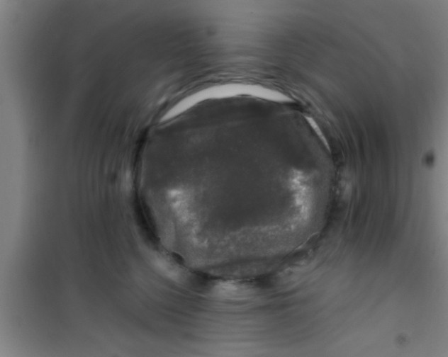 X0000100390568200807031952