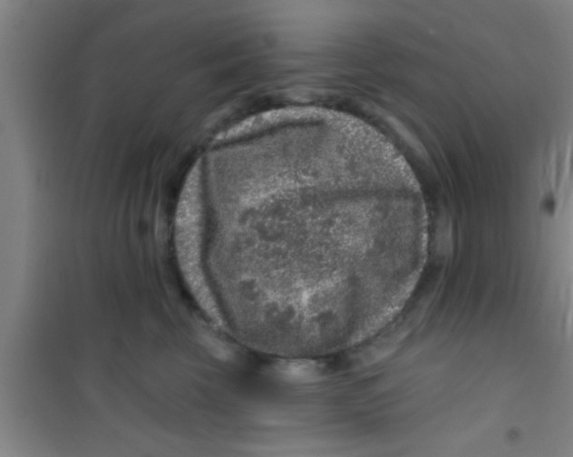 X0000100390569200807031952