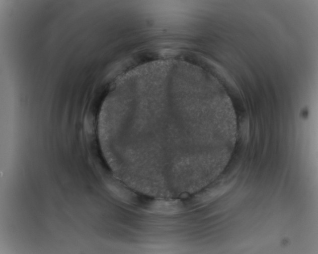 X0000100390571200807031952