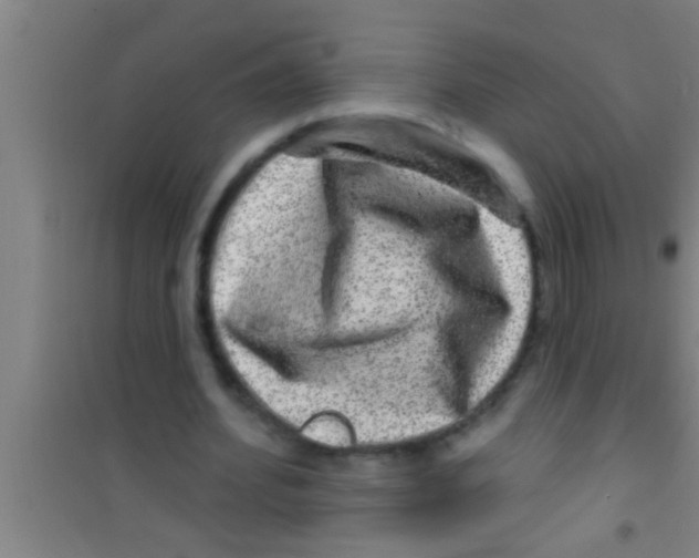 X0000100390580200807031951