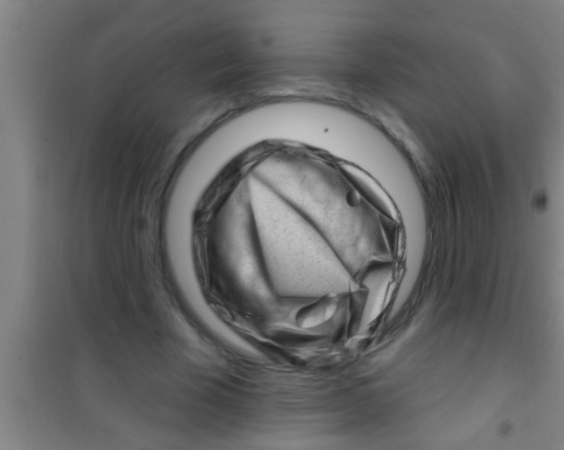 X0000100390585200807031951