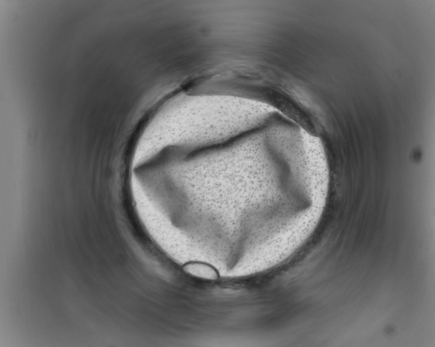 X0000100390586200807031951