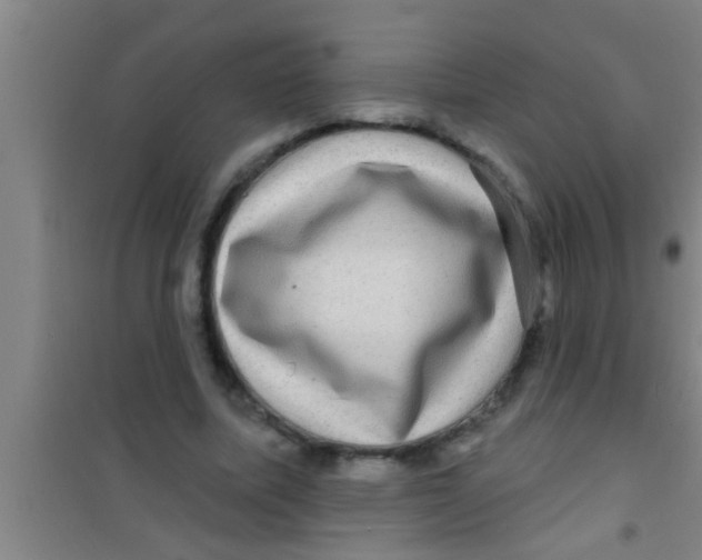 X0000100390587200807031951