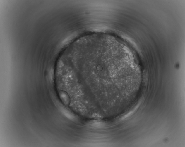 X0000100390589200807031951