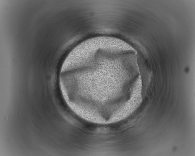 X0000100390591200807031951