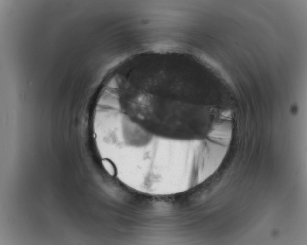 X0000100390592200807031951