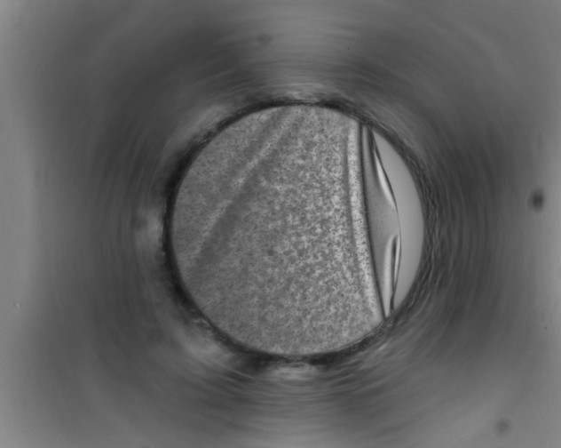 X0000100390595200807031951