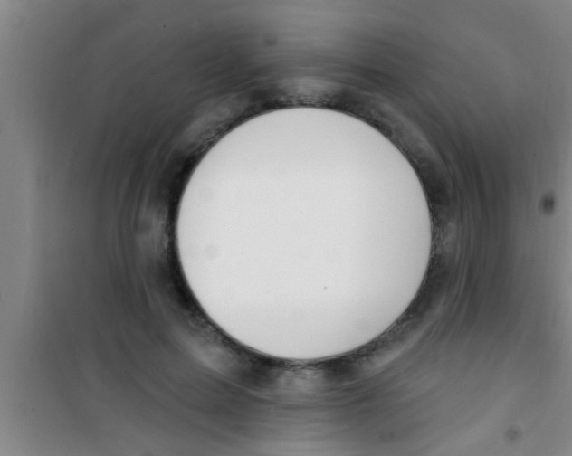 X0000100390599200807031951