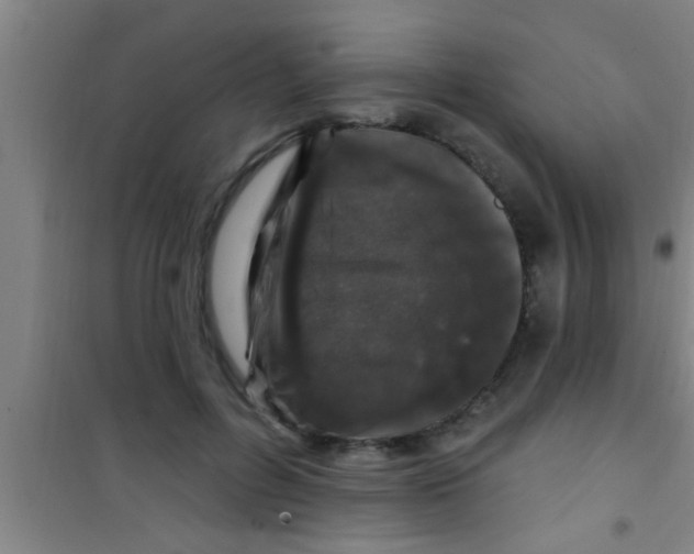 X0000100390600200807031951