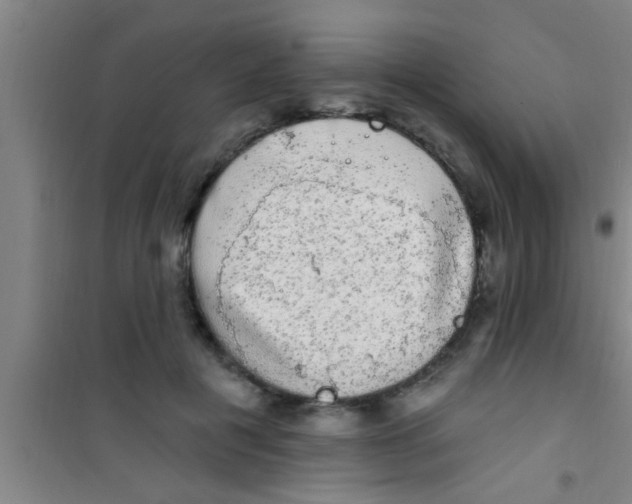 X0000100390601200807031951