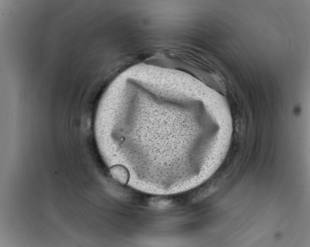 X0000100390602200807031951