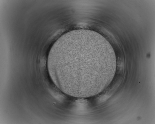 X0000100390603200807031951