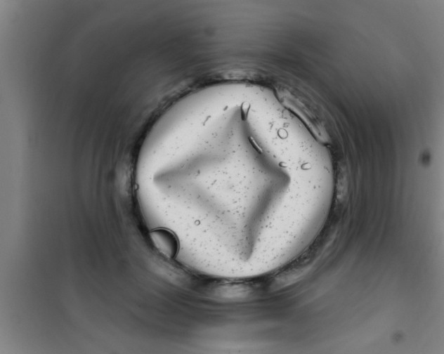 X0000100390604200807031951