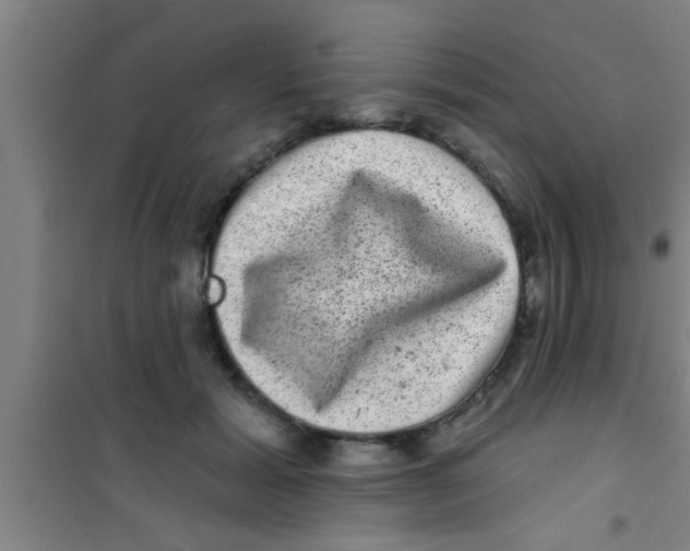 X0000100390605200807031951