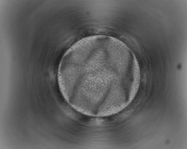 X0000100390607200807031951