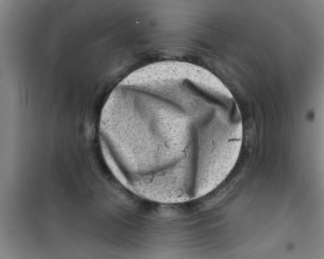 X0000100390608200807031951