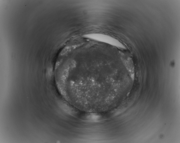 X0000100390610200807031951