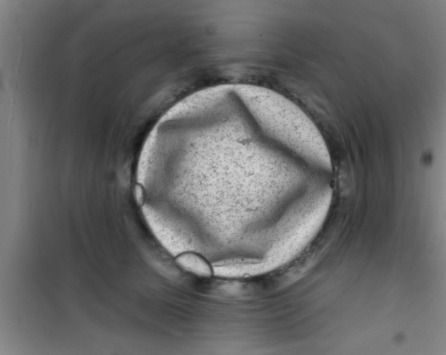 X0000100390611200807031951