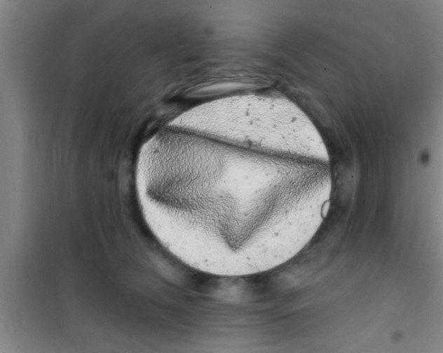 X0000100390612200807031951