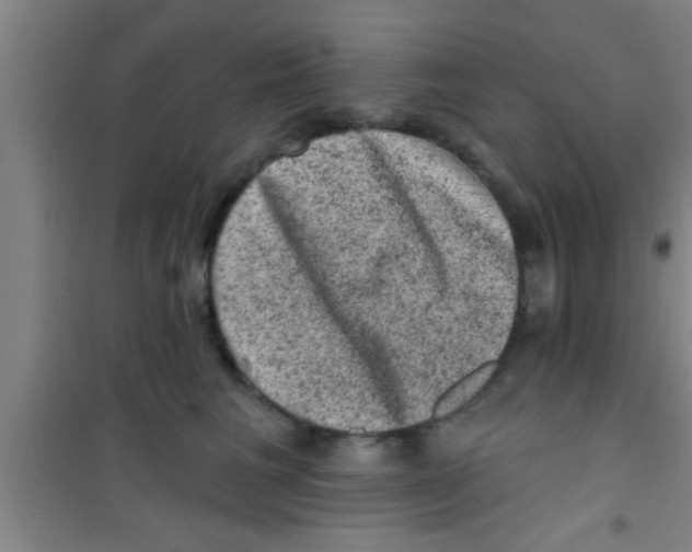 X0000100390613200807031951