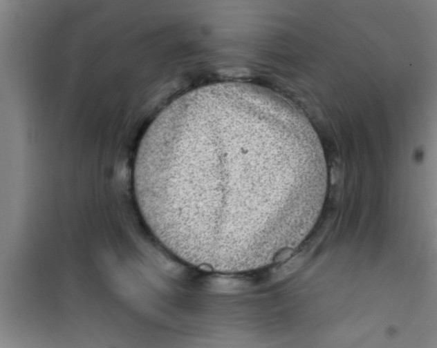 X0000100390614200807031951