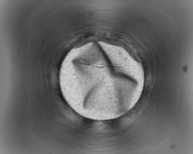 X0000100390616200807031951