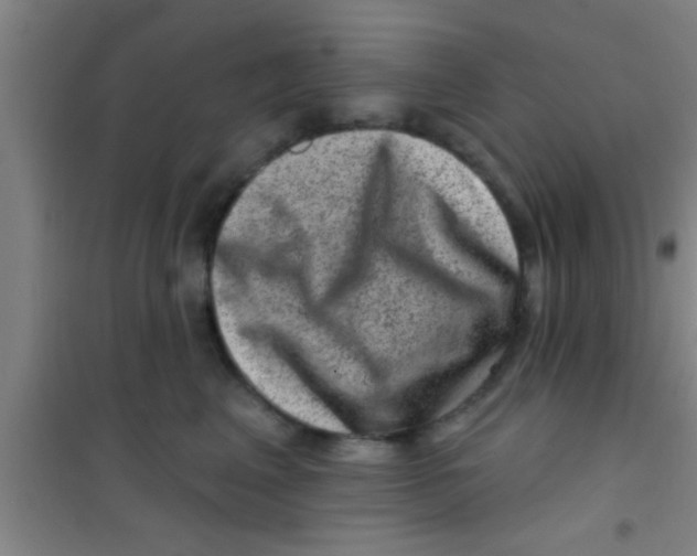 X0000100390617200807031951