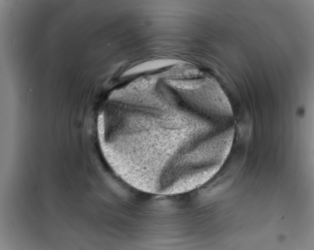 X0000100390620200807031951