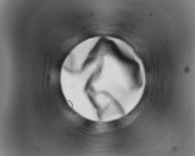 X0000100390623200807031951