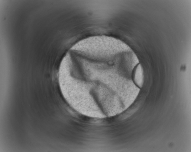 X0000100390624200807031951