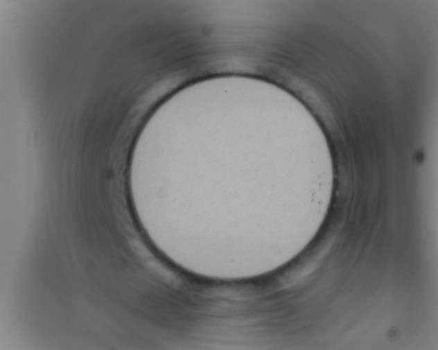 X0000100390625200807031950