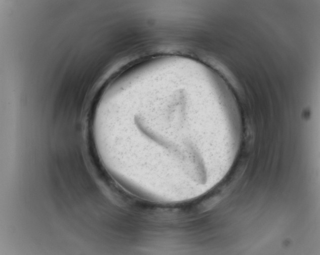 X0000100390626200807031950