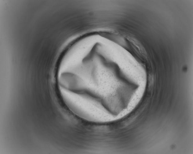 X0000100390628200807031950